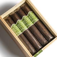 Casa Turrent Origenes San Andres Cigar - Box of 12